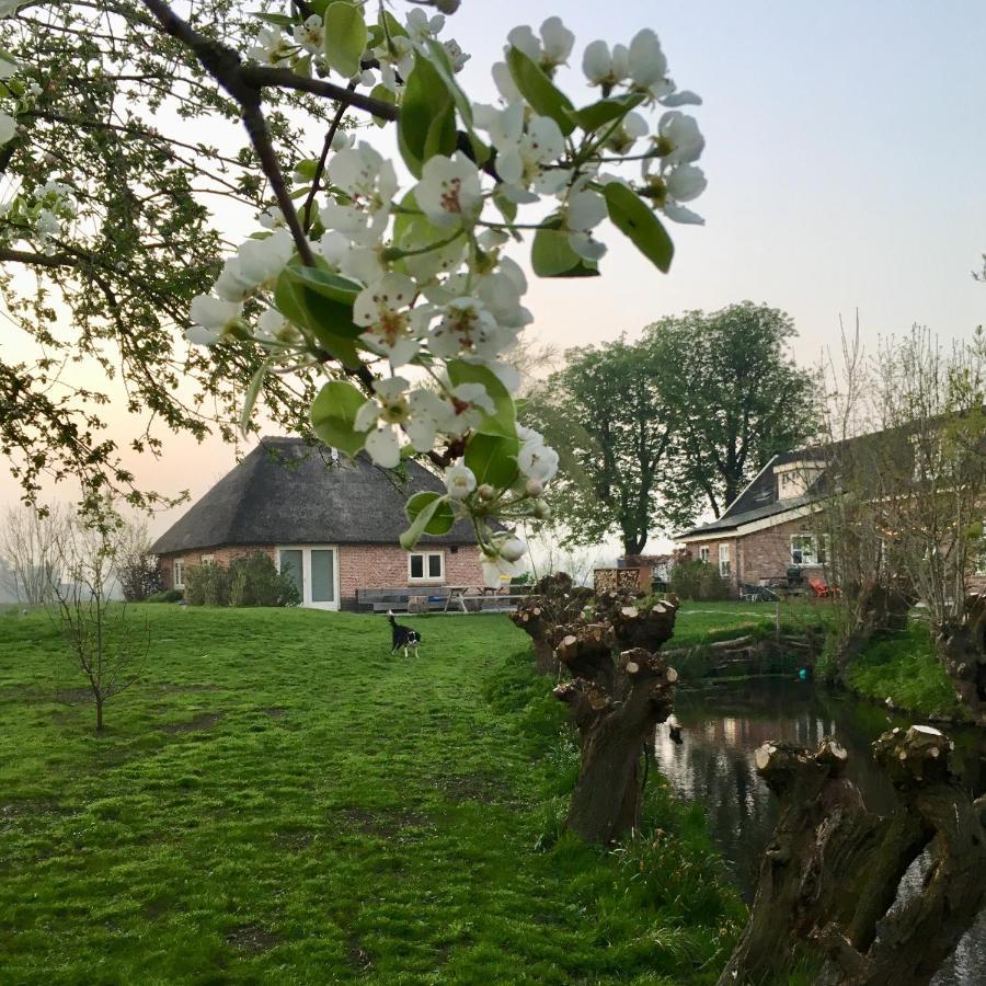 Groeten Uit Hoogmade - Rural Cottage Bagian luar foto